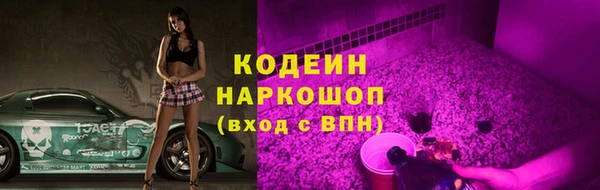 индика Бородино