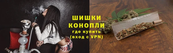 мдпв Богданович