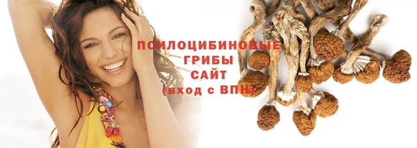 бошки Богородск