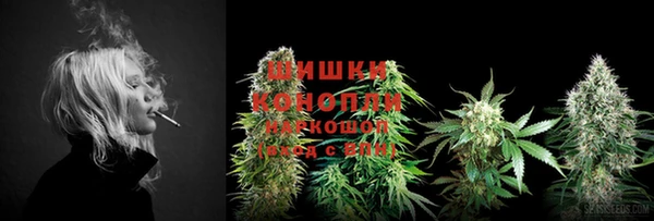 дурь Богородицк