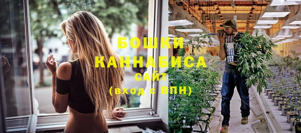дурь Богородицк