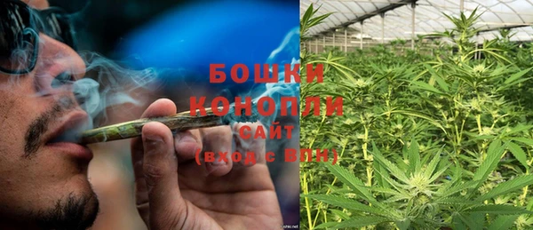 мдпв Богданович